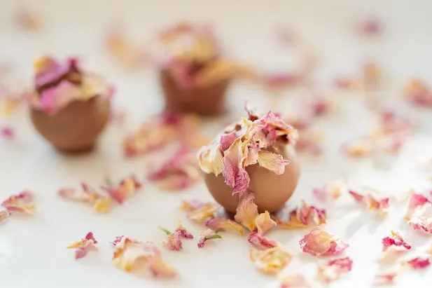 Casino Fantastic Spins Application Android/iOS